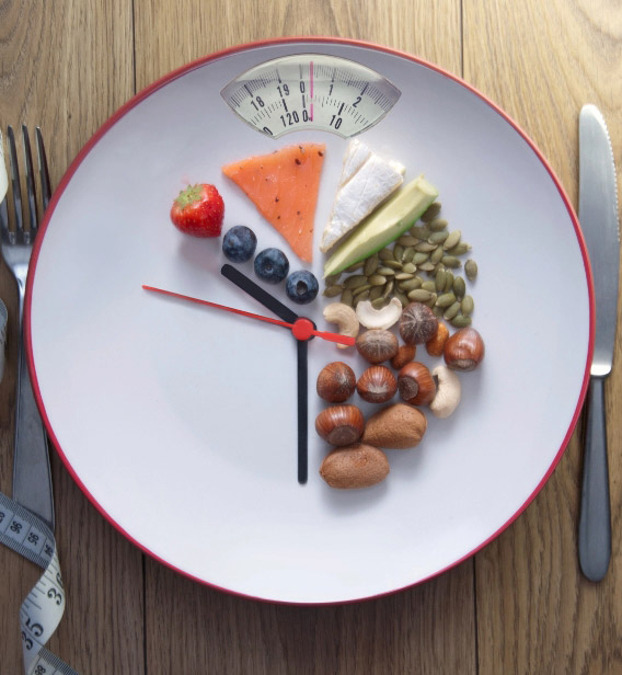 Plate with elements of balanced nutrition / clock and weight concept